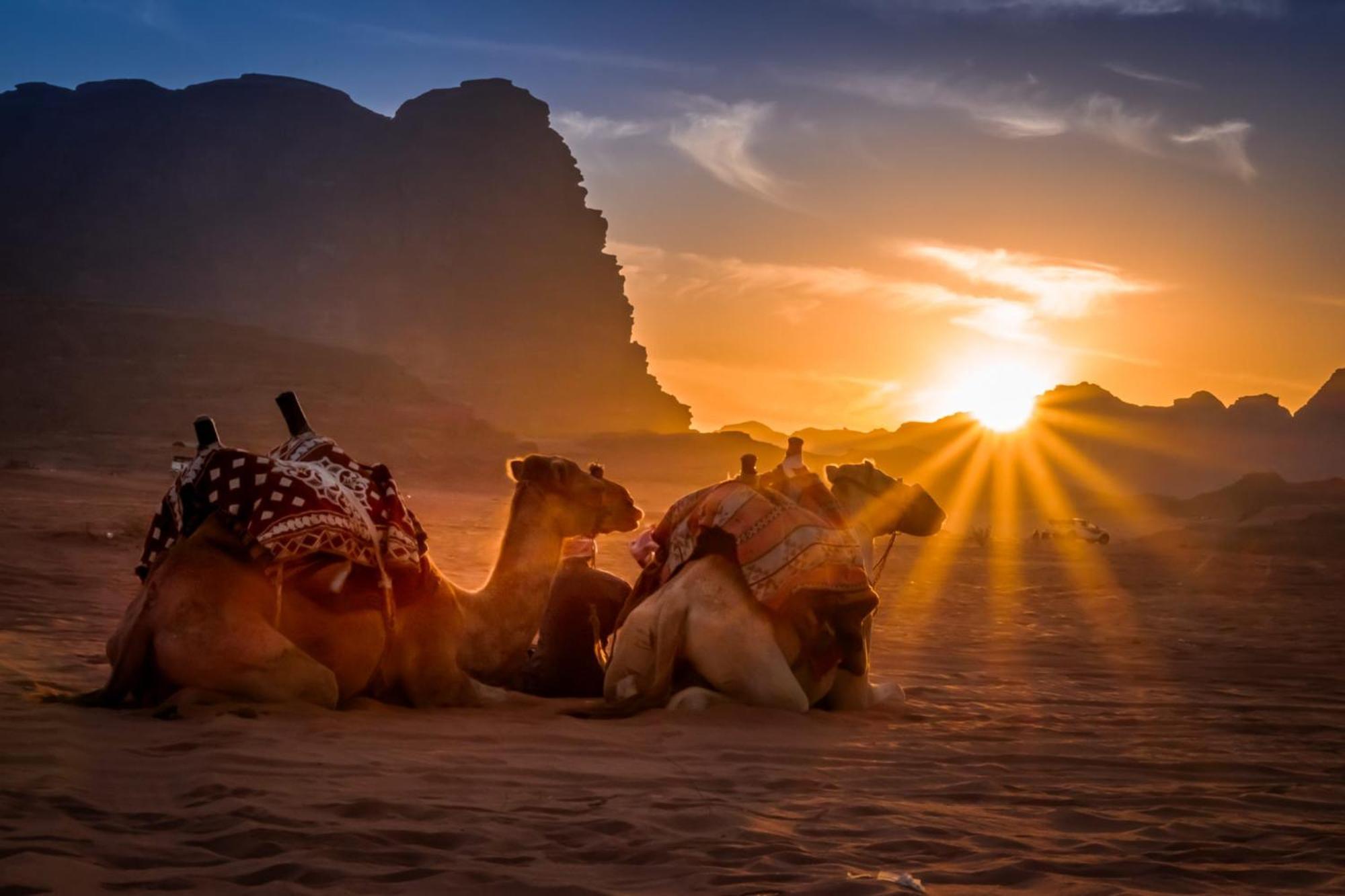 Wadi Rum Mundo Camp Akaba Exteriér fotografie